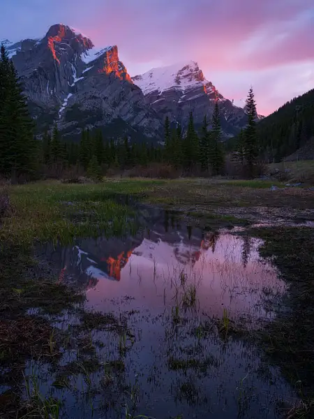 Pink Sunrise with reflection of Mount Kidd in Pond by...