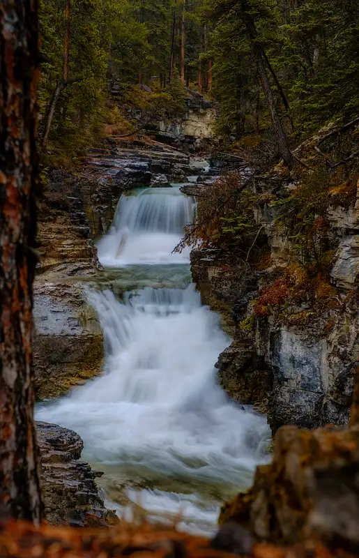 Beauty Creek Under a rainy morning,  Banff National Park, Alberta, Canada