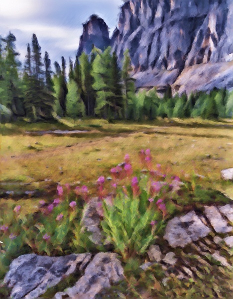 Digital Paint Fireweeds-Castle Mountain, Banff National Park, Alberta - Abstract Artwork - Yves Gagnon Photography 