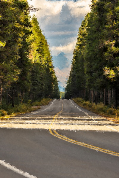 Bow Valley Parkway Pine Needle Road to Lake Louise - Abstract Artwork - Yves Gagnon Photography 