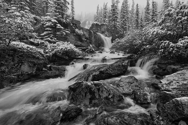 Black and White Summer Snow Storm Canadian Rockies by...