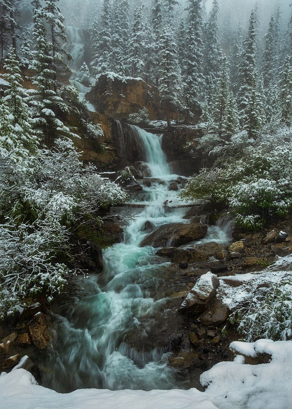 Waterfalls Covered of Snow Canadian Rockies_
