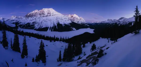 Blue Hour Peyto Lake Banf National Park by Yves Gagnon