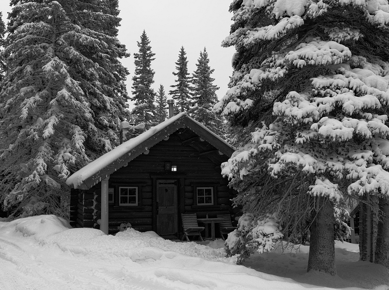 Log Cabin Black and white