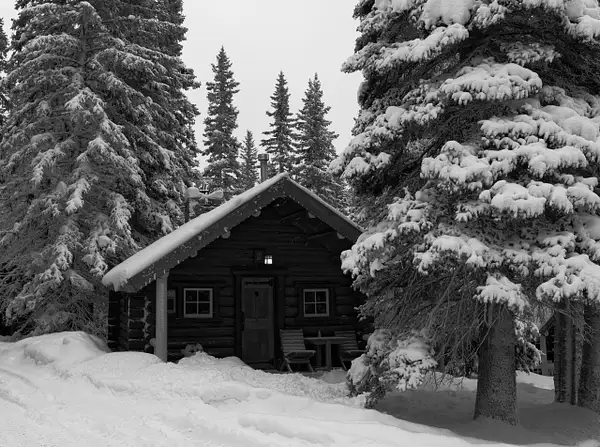 Log Cabin Black and white by Yves Gagnon