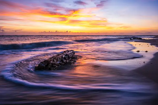 Log and Golden Sunrise Ocean Beach Dominican Republic-1...