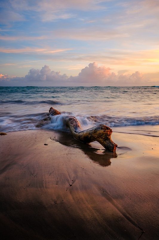 Log with Crashing waves Sunrise Dominican Republic-2