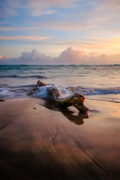 Log with Crashing waves Sunrise Dominican Republic-2 by...