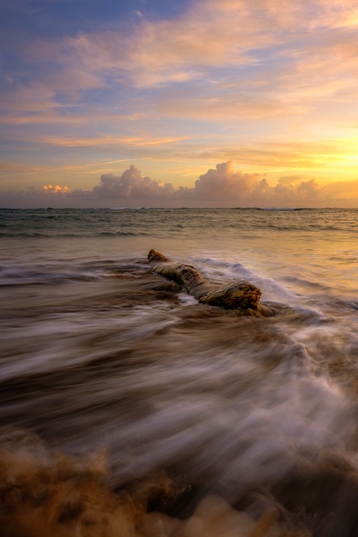 The waves and the log, Beach Sunrise, Dominican