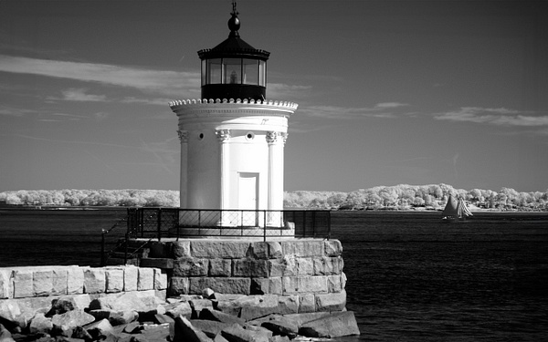 Bug Lighthouse-Maine (BW1911) - Bella Mondo Images 
