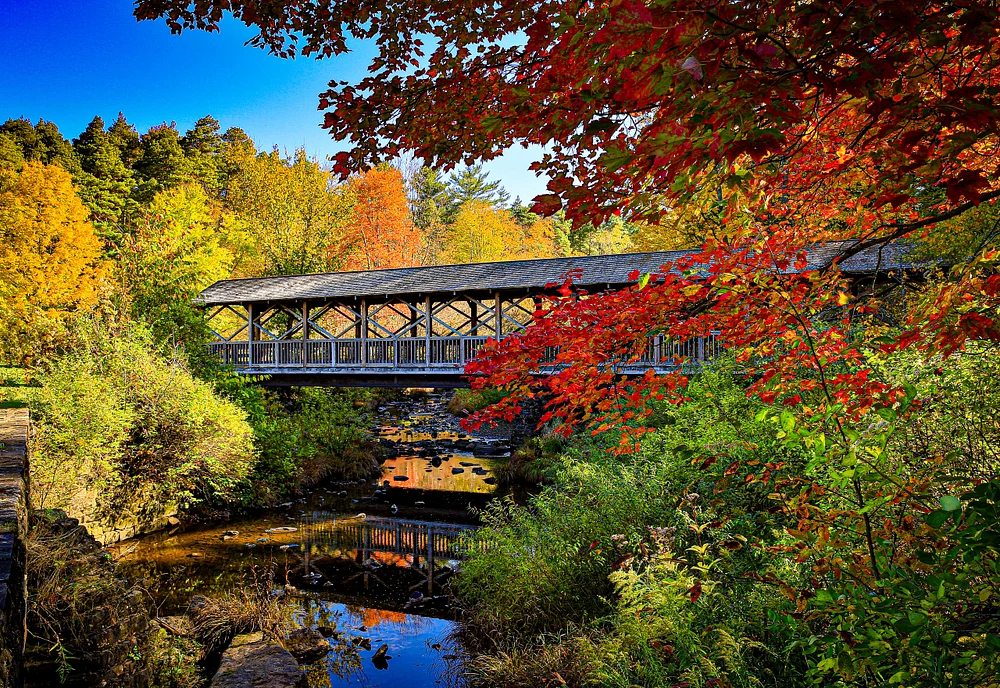 Vibrant Fall Foliage at a Scenic Covered Bridge (ME_9443)