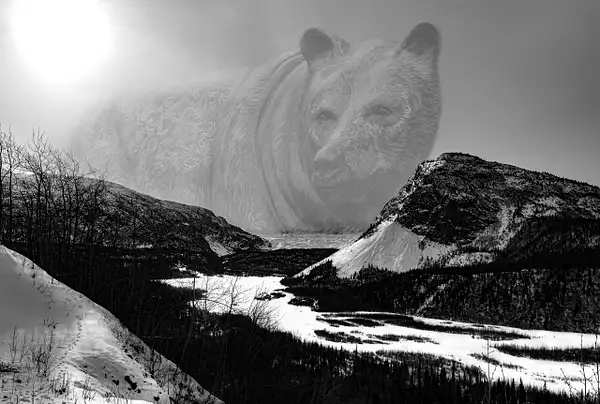 Glacier Bear by Snowkeeper