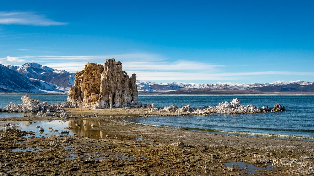 Mono Lake Winter
