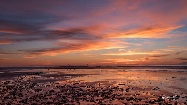 San Elijo Beach SP Sunset Pink Glow - Landscapes - Melanie Cullen