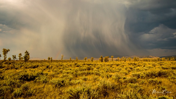 Teton NP Fall Thunder Storm - Landscapes - Melanie Cullen 