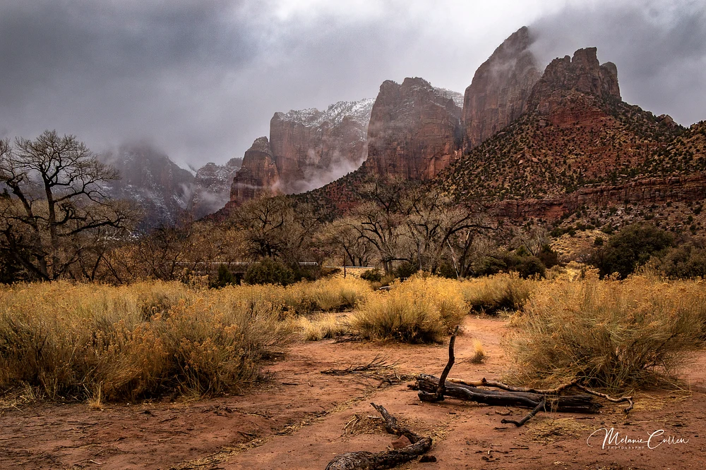 Zion NP Misty Winter Day