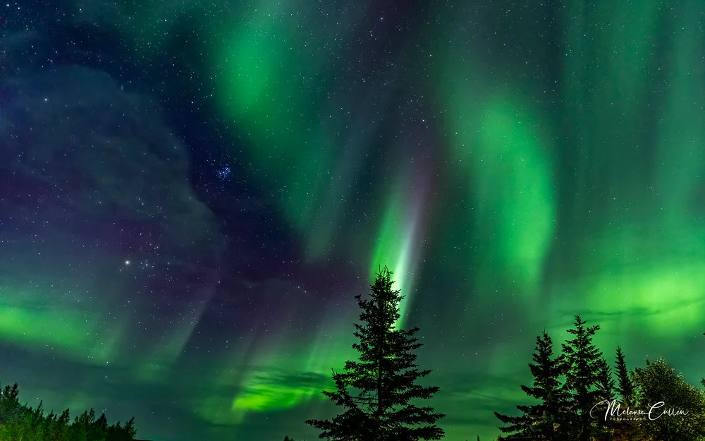 Northern Lights