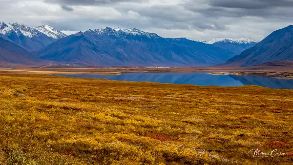 Arctic Circle,  Tundra and More by Melanie Cullen