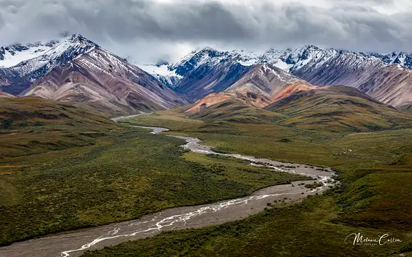 Denali National Park Alaska by Melanie Cullen