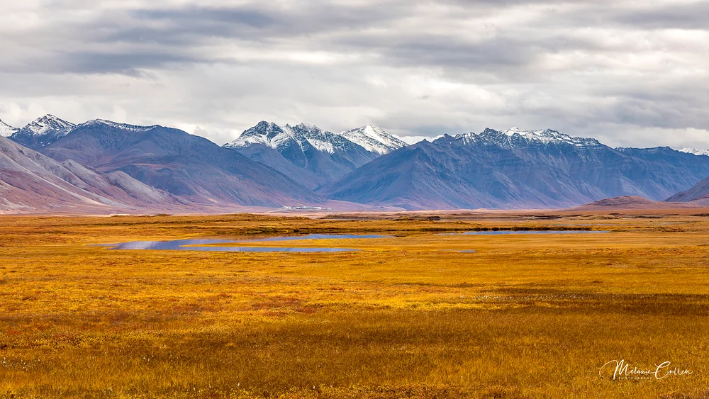 Galbraith Lake, Brooks Range-