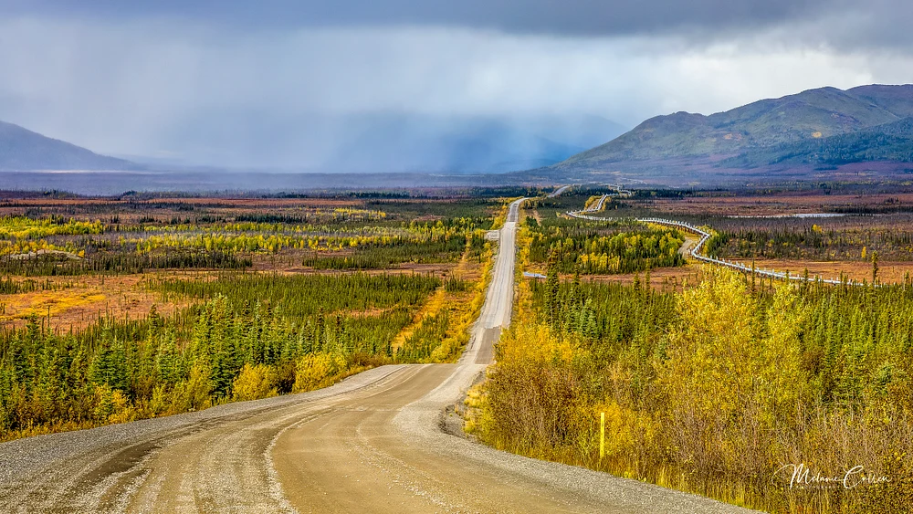 Haul Road and Piipeline-