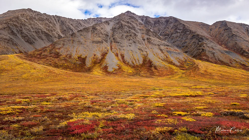 Flames of Fall, Brooks Range