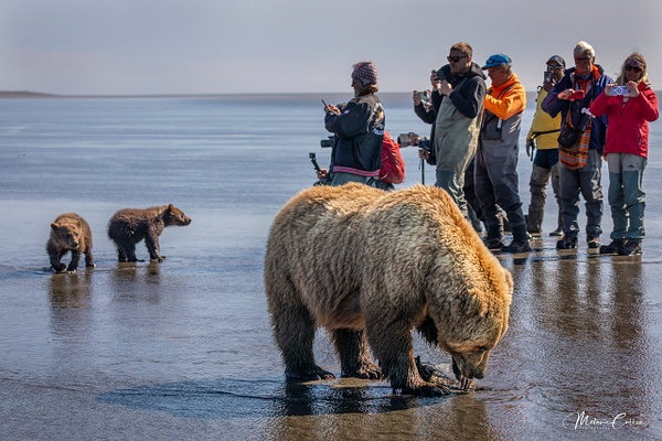 Photo Group and Bears Lake Clark - Melanie Cullen