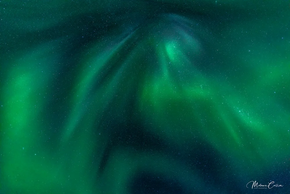 Auroa Raining Green