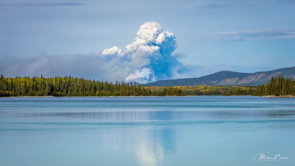 Thunderhead Smoke