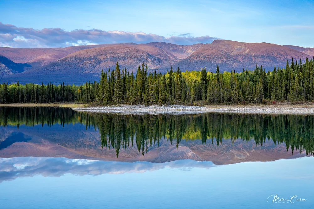 Morning Reflections