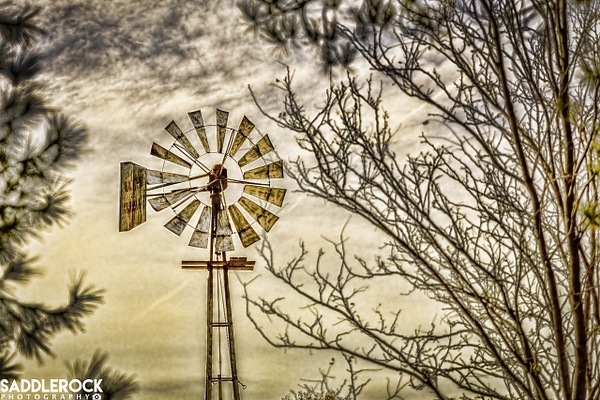 Windmill - Landscape - Saddle Rock Photography 