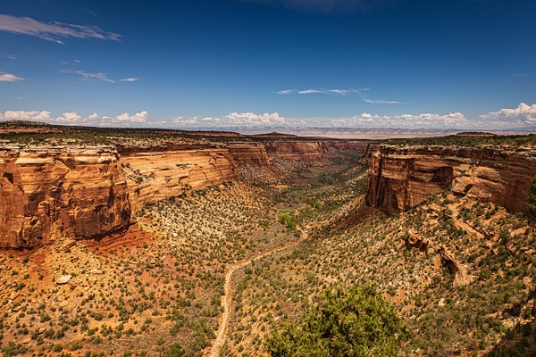 Colorado National Monument - 07-2021-7 - Landscape - Saddle Rock Photography  