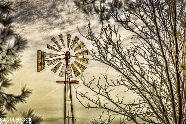 Windmill at Mojave Narrows - My High Desert - SaddleRock Photography 