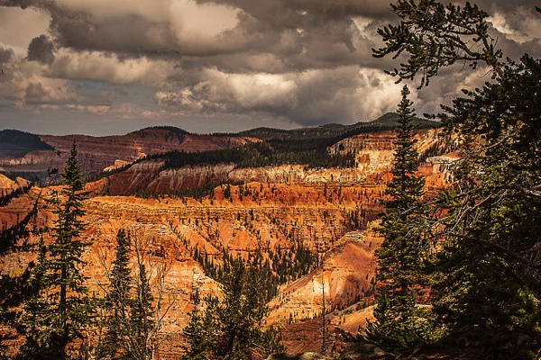 Cedar Break Cropped - (2) - B75A4003 - Landscape - SaddleRock Photography