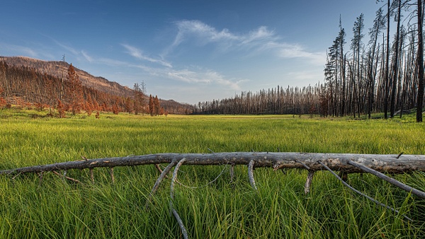 20210812-B75A4287-Edit - Landscape - SaddleRock Photography