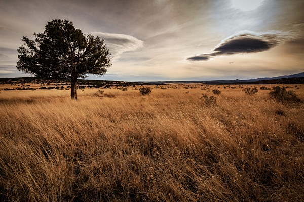 NM20171201-IMG_4823-Edit - Landscape - SaddleRock Photography