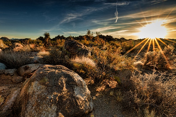 20171230-Palm Springs-2017-12-217 - Landscape - SaddleRock Photography