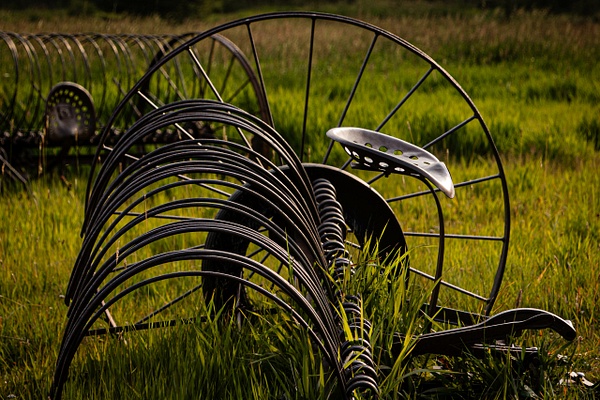Waiting for Harvest - Americana - SaddleRock Photography
