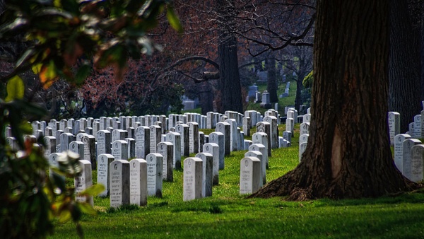 In Quiet Honor - Americana - SaddleRock Photography