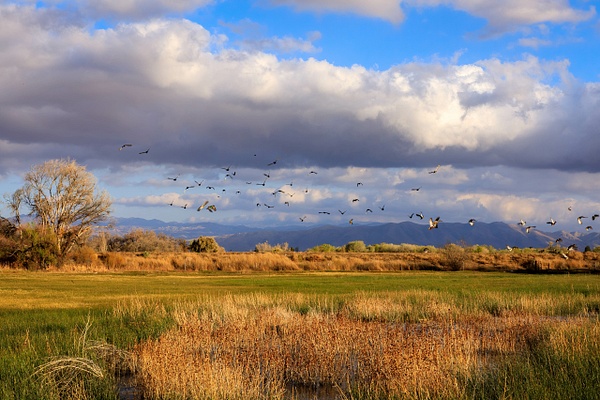 Desert Oasis - My High Desert - SaddleRock Photography
