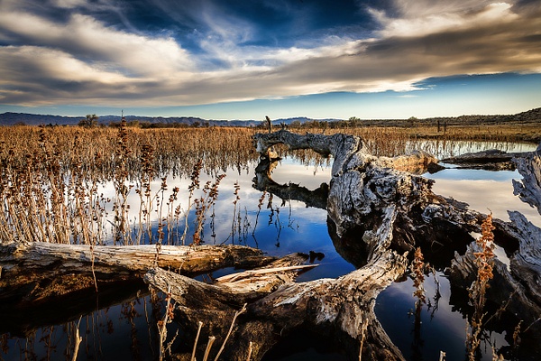Desert Driftwood - My High Desert - SaddleRock Photography
