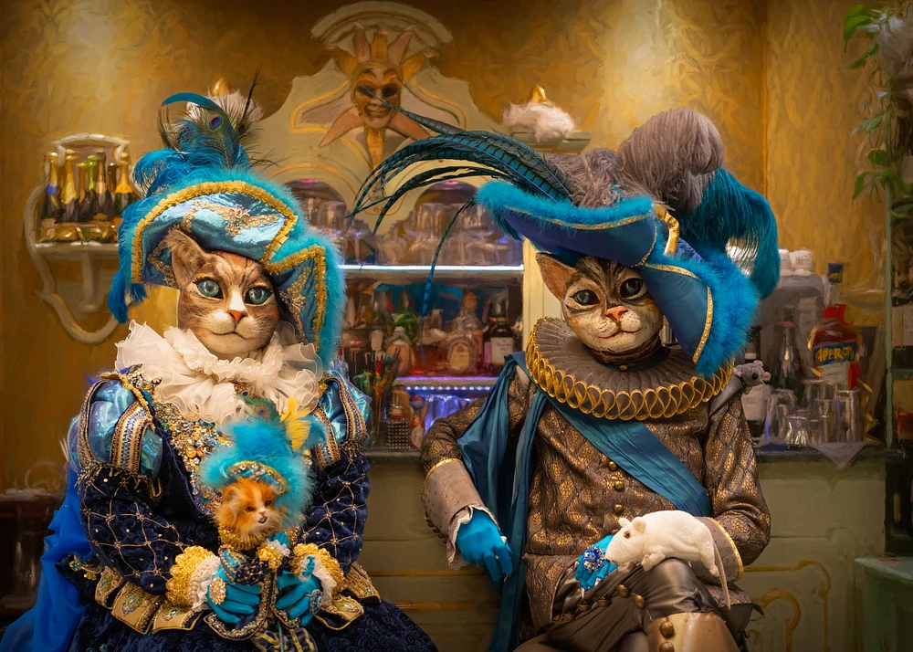 salli print cats-1