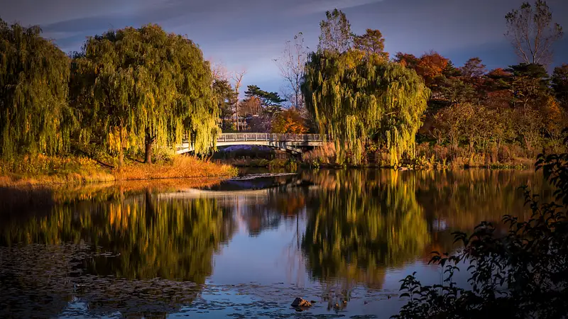 Chicago Botanic Garden-Fall Foliage-Reflecting Pond