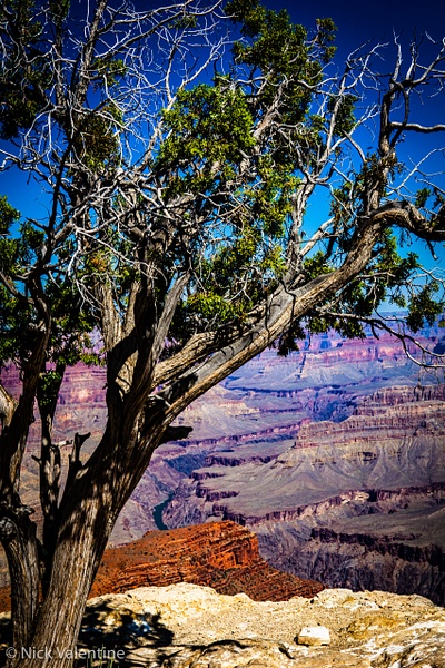 DSC08878-HDR - Grand Canyon, Arizona - Nick Valentine