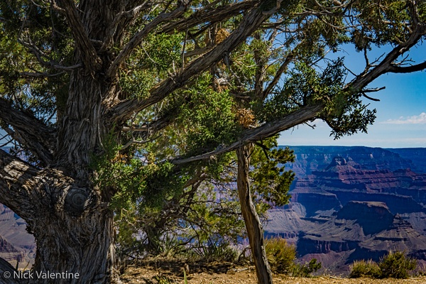 DSC08995-HDR - Grand Canyon, Arizona - Nick Valentine