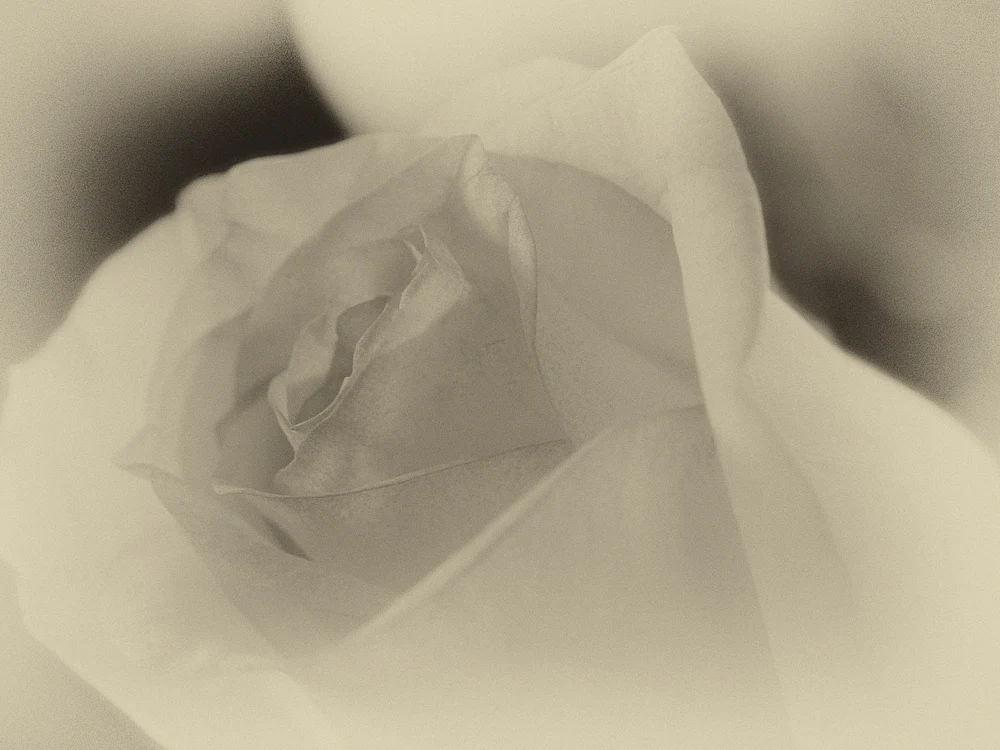 _C191046-Edit