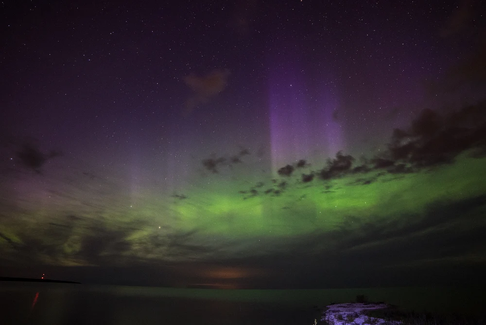 Purple Aurora