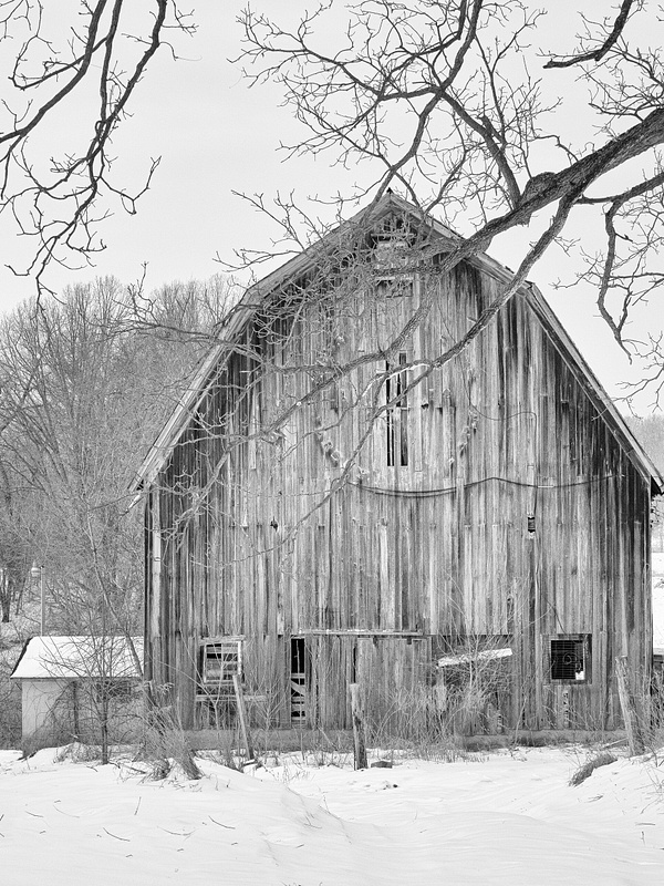 2022 Michigan Barns in Winter