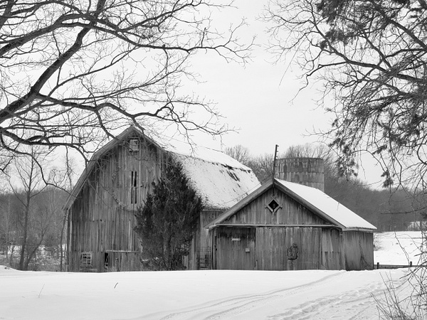 Barn #3 - 2022 Michigan Barns in Winter - That Moment, Click – Laura Higle Photography