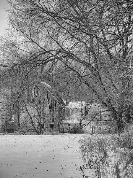 Barn #2 - 2022 Michigan Barns in Winter - That Moment, Click – Laura Higle Photography 